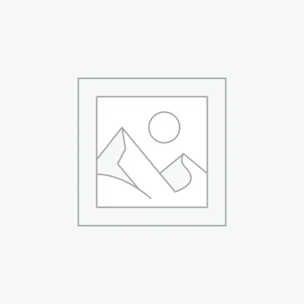 Synthetic Rectangular Bag 0C